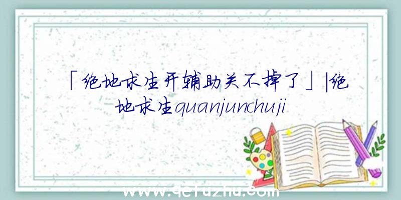 「绝地求生开辅助关不掉了」|绝地求生quanjunchuji透视辅助